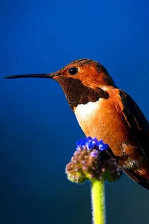 市场的品牌故事定位